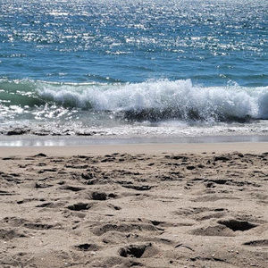 Meet your Posher, Pamela